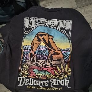 Hollister Delicate Arch Shirt